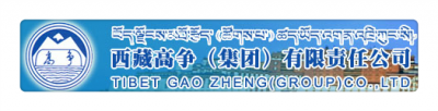 西藏高爭（集團）有限責任公司
